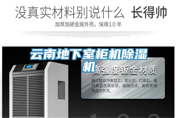 雲南地下室櫃機好色先生在线播放