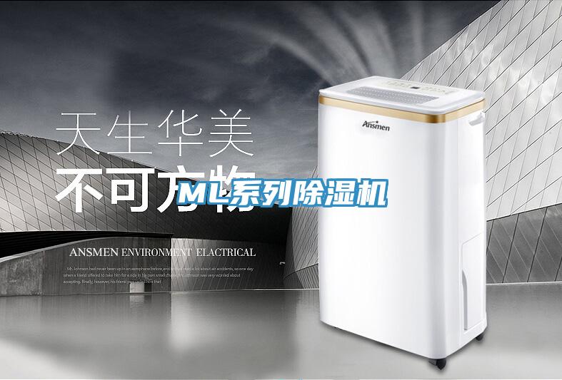 ML係列好色先生在线播放