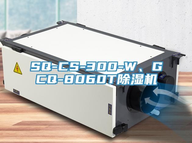 SQ-CS-300-W、GCQ-8060T好色先生在线播放