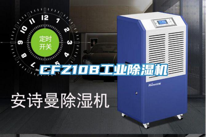 CFZ10B工業好色先生在线播放