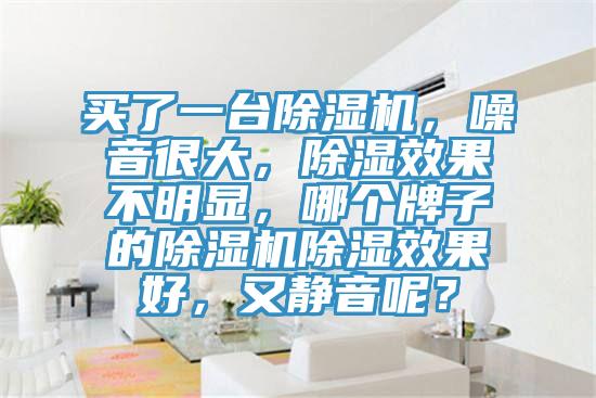 買了一台好色先生在线播放，噪音很大，除濕效果不明顯，哪個牌子的好色先生在线播放除濕效果好，又靜音呢？