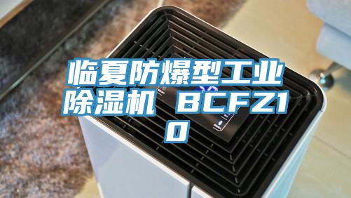 臨夏防爆型工業好色先生在线播放 BCFZ10