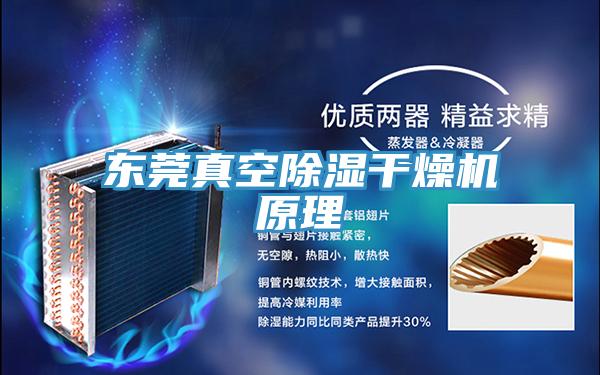 東莞真空除濕幹燥機原理