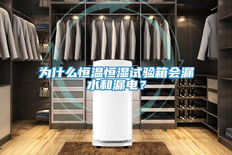 為什麽恒溫恒濕試驗箱會漏水和漏電？
