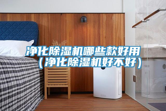 淨化好色先生在线播放哪些款好用（淨化好色先生在线播放好不好）