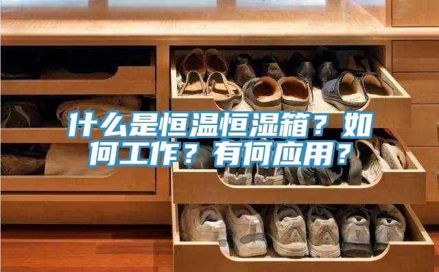 什麽是恒溫恒濕箱？如何工作？有何應用？