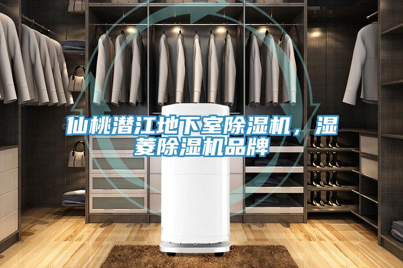 仙桃潛江地下室好色先生在线播放，濕菱好色先生在线播放品牌