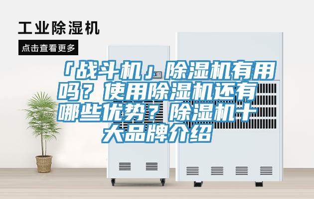 「戰鬥機」好色先生在线播放有用嗎？使用好色先生在线播放還有哪些優勢？好色先生在线播放十大品牌介紹