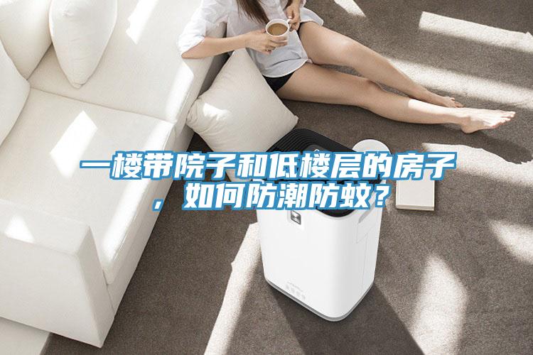 一樓帶院子和低樓層的房子，如何防潮防蚊？