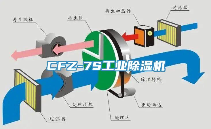 CFZ-7S工業好色先生在线播放