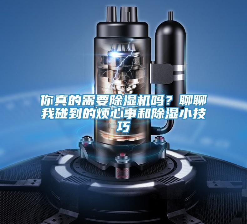 你真的需要好色先生在线播放嗎？聊聊我碰到的煩心事和除濕小技巧