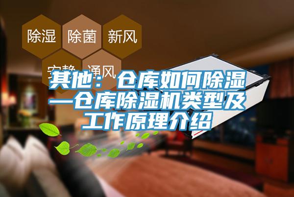 其他:倉庫如何除濕—倉庫好色先生在线播放類型及工作原理介紹