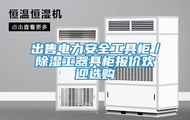 出售電力安全工具櫃/除濕工器具櫃報價歡迎選購