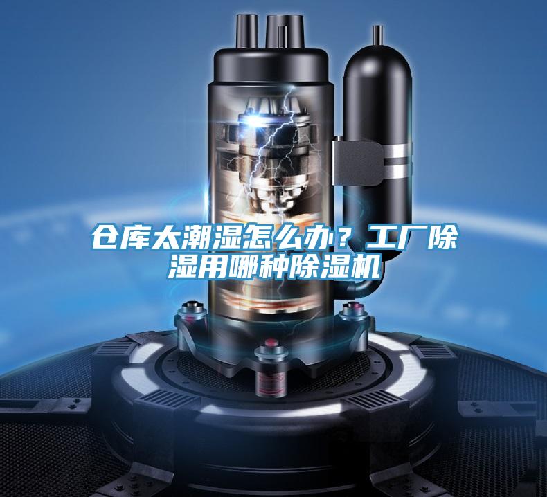 倉庫太潮濕怎麽辦？工廠除濕用哪種好色先生在线播放