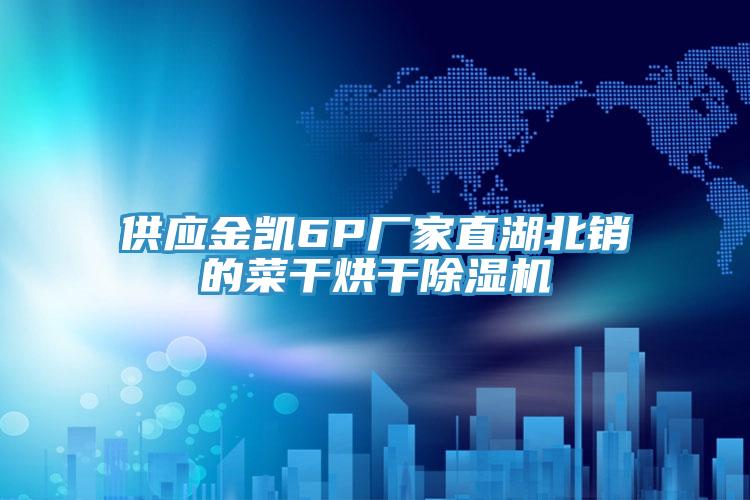 供應金凱6P廠家直湖北銷的菜幹烘幹好色先生在线播放
