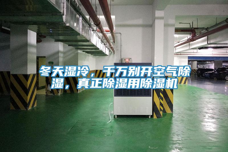 冬天濕冷，千萬別開空氣除濕，真正除濕用好色先生在线播放