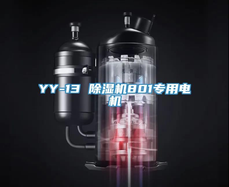YY-13 好色先生在线播放801專用電機