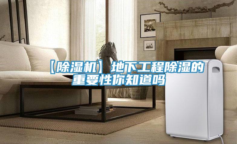 【好色先生在线播放】地下工程除濕的重要性你知道嗎