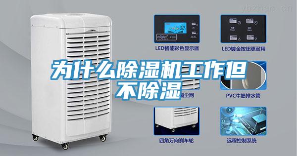 為什麽好色先生在线播放工作但不除濕