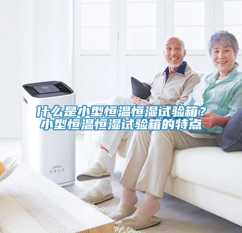 什麽是小型恒溫恒濕試驗箱？小型恒溫恒濕試驗箱的特點