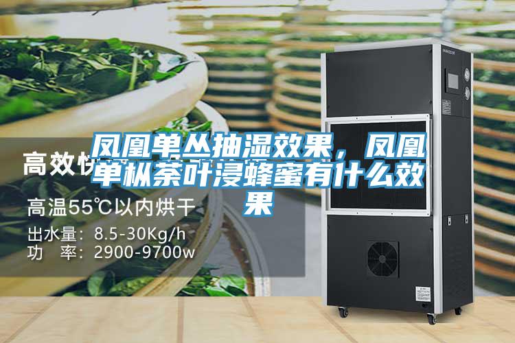 鳳凰單叢抽濕效果,鳳凰單樅荼葉浸蜂蜜有什麽效果