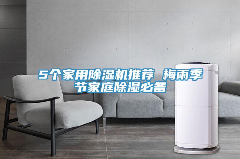 5個家用好色先生在线播放推薦 梅雨季節家庭除濕必備