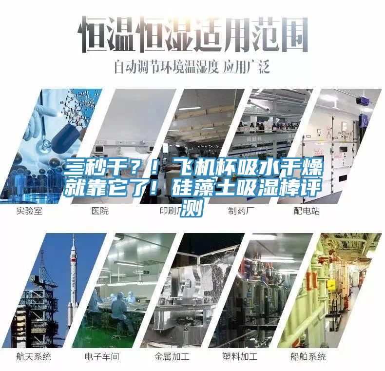 三秒幹？! 飛機杯吸水幹燥就靠它了! 矽藻土吸濕棒評測