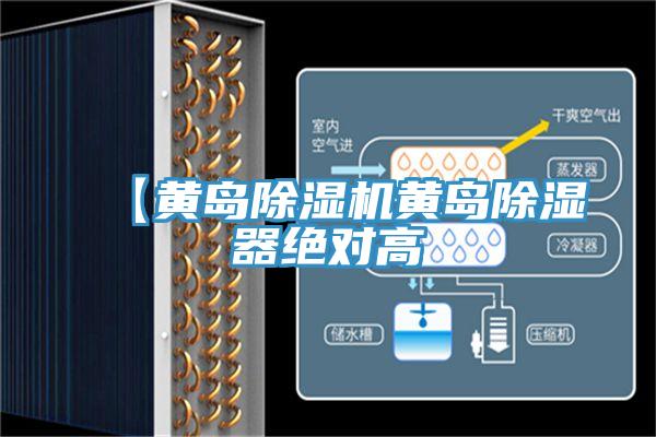 【黃島好色先生在线播放黃島除濕器絕對高