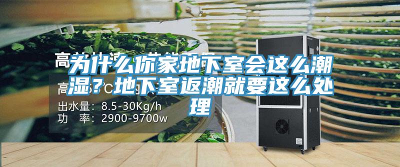 為什麽你家地下室會這麽潮濕？地下室返潮就要這麽處理