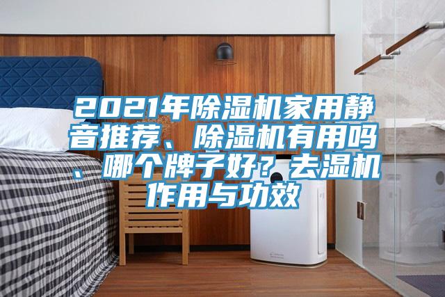 2021年好色先生在线播放家用靜音推薦、好色先生在线播放有用嗎、哪個牌子好？去濕機作用與功效