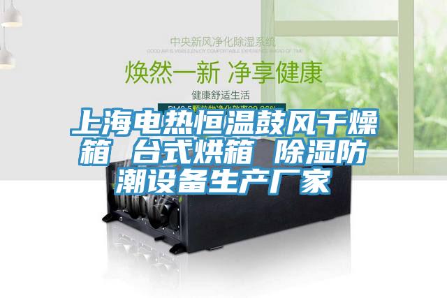 上海電熱恒溫鼓風幹燥箱 台式烘箱 除濕防潮設備生產廠家