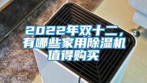 2022年雙十二，有哪些家用好色先生在线播放值得購買