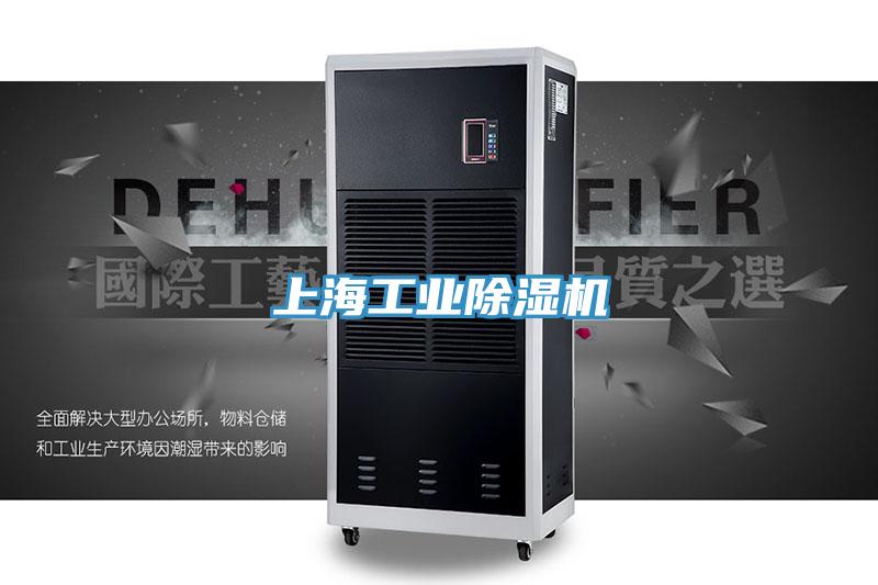 上海工業好色先生在线播放