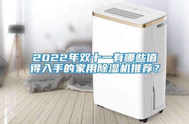 2022年雙十一有哪些值得入手的家用好色先生在线播放推薦？