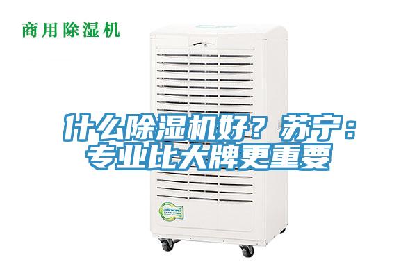 什麽好色先生在线播放好？蘇寧：專業比大牌更重要