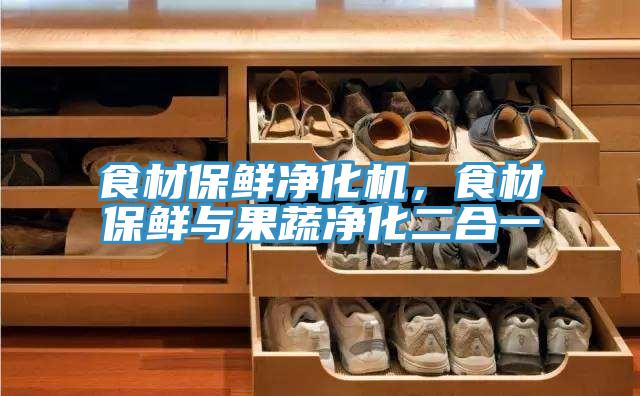 食材保鮮淨化機，食材保鮮與果蔬淨化二合一