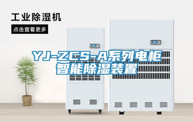 YJ-ZCS-A係列電櫃智能除濕裝置