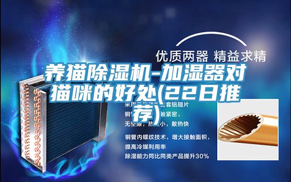 養貓好色先生在线播放-加濕器對貓咪的好處(22日推薦)