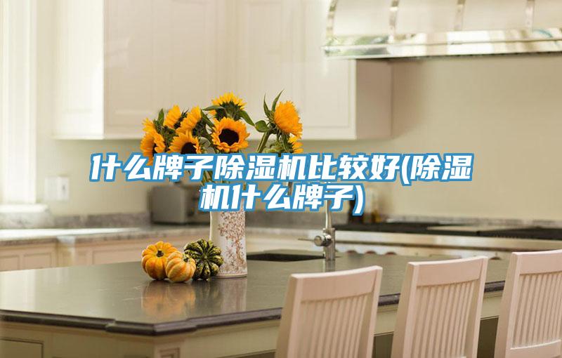 什麽牌子好色先生在线播放比較好(好色先生在线播放什麽牌子)