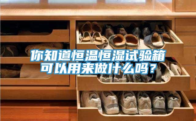 你知道恒溫恒濕試驗箱可以用來做什麽嗎？