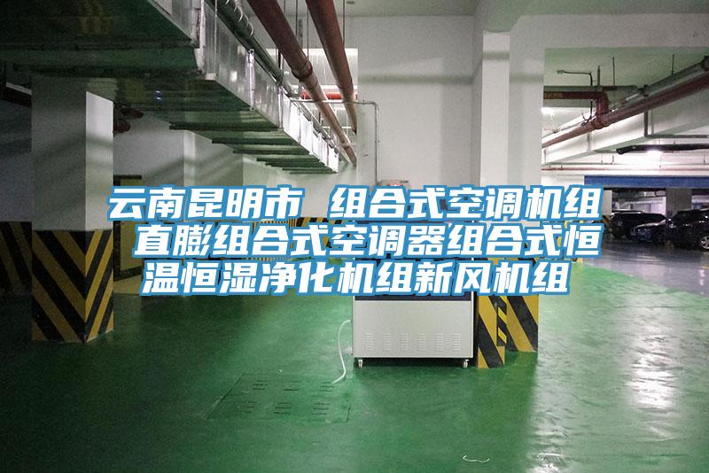 雲南昆明市 組合式空調機組 直膨組合式空調器組合式恒溫恒濕淨化機組新風機組