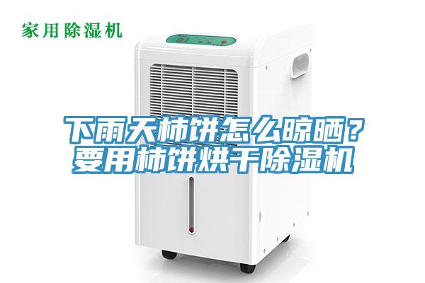 下雨天柿餅怎麽晾曬？要用柿餅烘幹好色先生在线播放