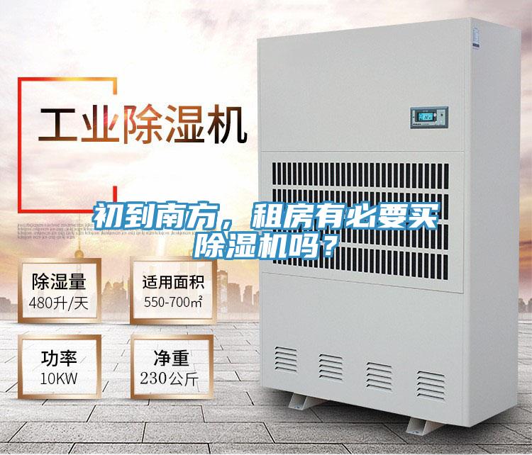 初到南方，租房有必要買好色先生在线播放嗎？