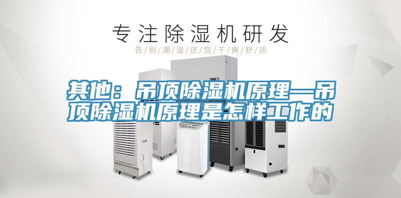 其他：吊頂好色先生在线播放原理—吊頂好色先生在线播放原理是怎樣工作的