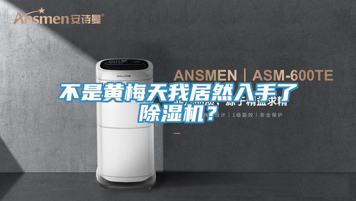 不是黃梅天我居然入手了好色先生在线播放？