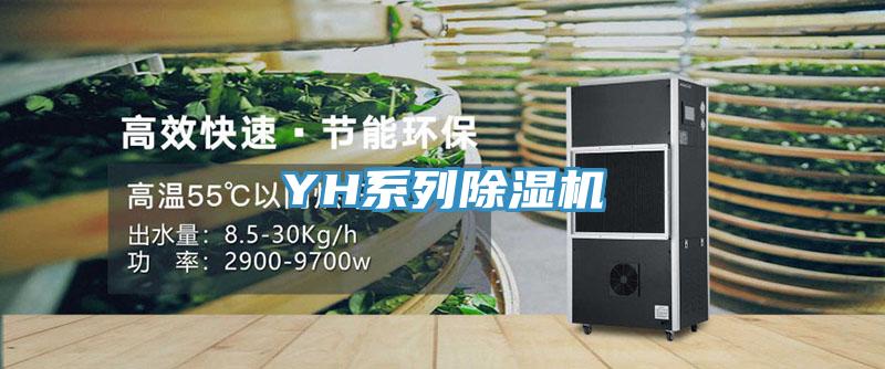 YH係列好色先生在线播放