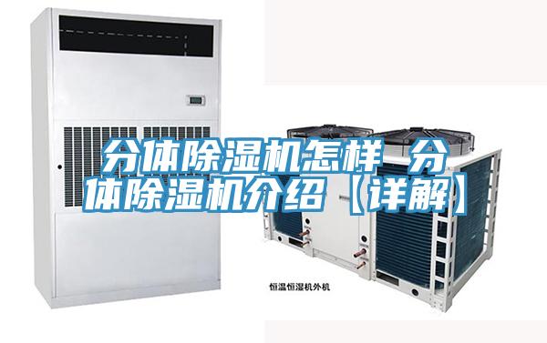 分體好色先生在线播放怎樣 分體好色先生在线播放介紹【詳解】