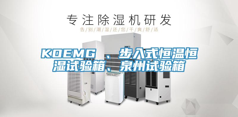 KOEMG 、步入式恒溫恒濕試驗箱、泉州試驗箱