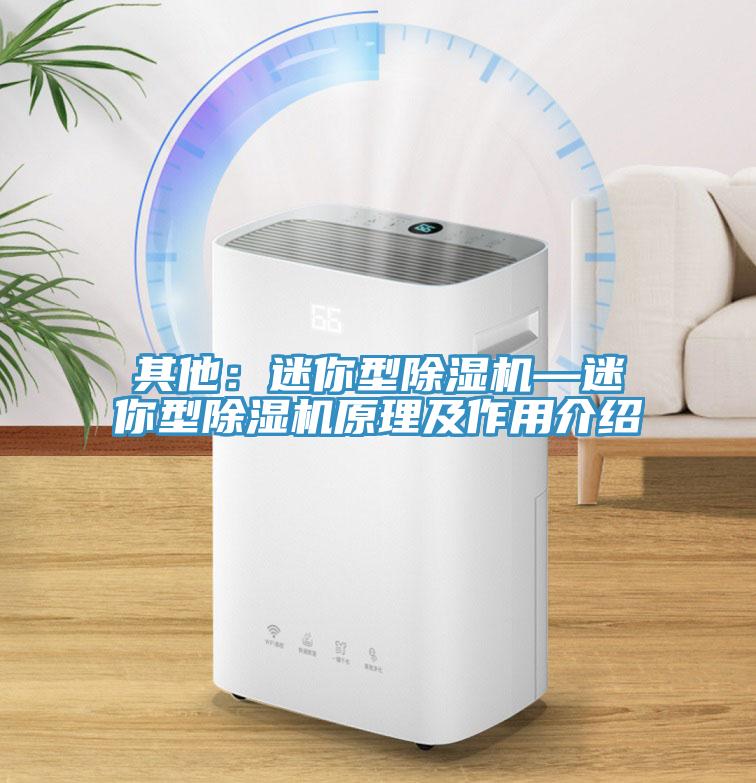其他：迷你型好色先生在线播放—迷你型好色先生在线播放原理及作用介紹