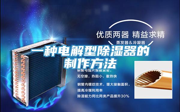 一種電解型除濕器的製作方法